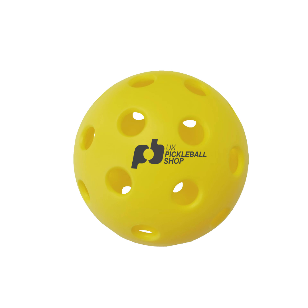 Complete Starter Pack: Oval Picklenet, 4 Club paddles and 4 balls