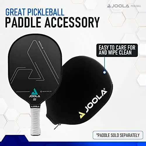 JOOLA Radius CGS 16 Graphite Paddle