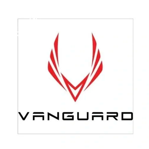 Selkirk Vanguard Epic 2.0 Paddle